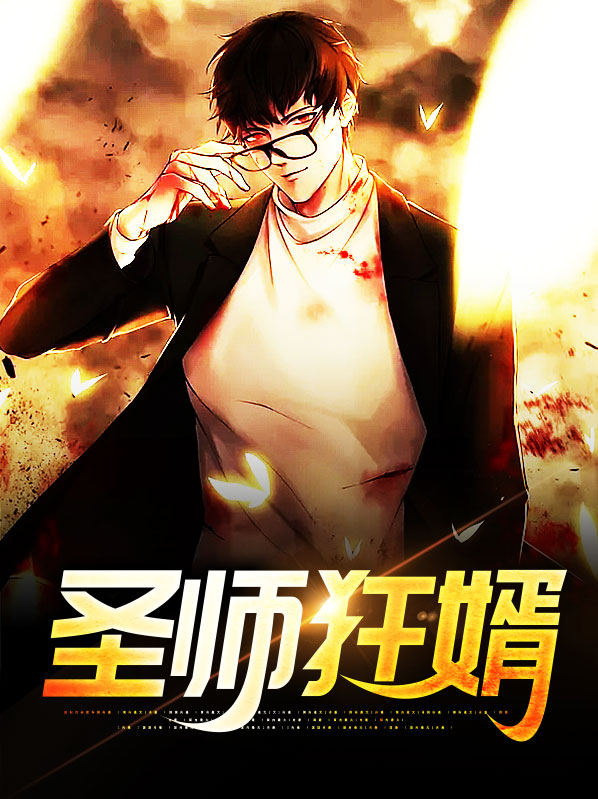 狂婿医圣 小说