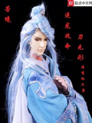 苦境:逆龙改命刀无形