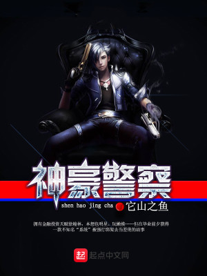 美国警察系统