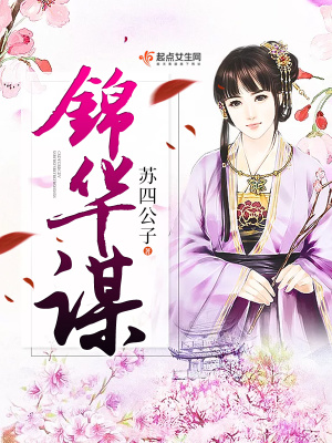 锦华谋讲的什么