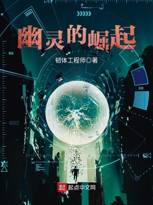 幽灵的崛起 韧体工程师