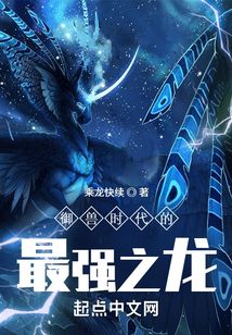 御兽时代的最强之龙 小说