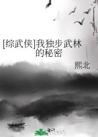 综武侠我独步武林的秘密 小说下载