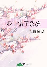 小说系统搞错了