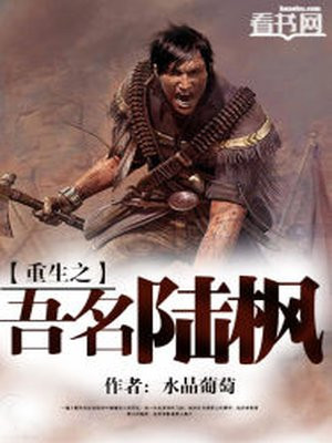 重生九零年代陆枫