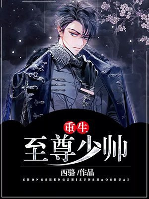 重生之我是张少帅