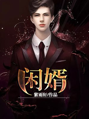 闲婿 小说