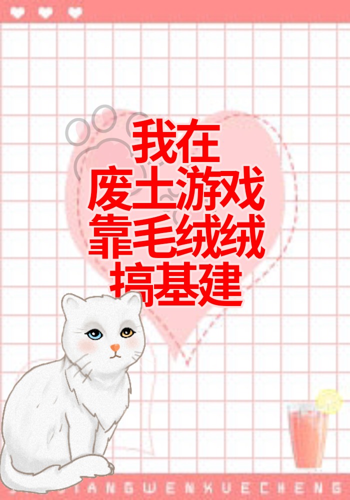 我在废土造装备txt