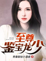 至尊龙少电视剧完整版