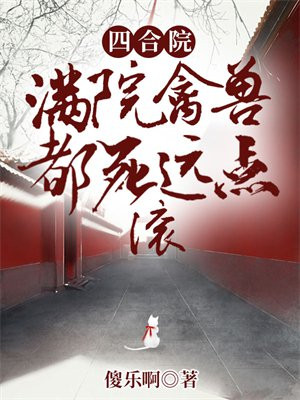 满四合院小说