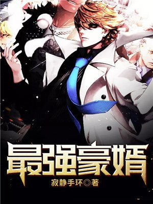 最强豪婿 面面俱到