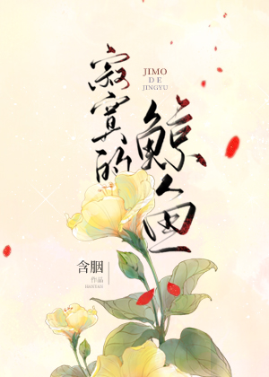 寂寞的鲸鱼百度网盘小说
