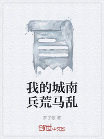 我的城南兵荒马乱小说