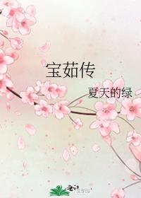 宝茹传