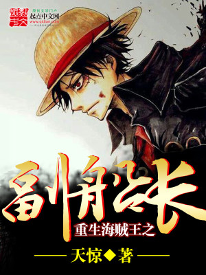 重生海贼王之副船长下载