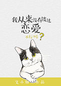 我从来没有谈过恋爱小说免费