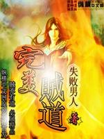 《完美盗贼》