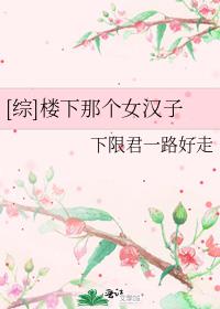楼下那个女人小说好看吗
