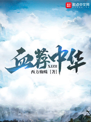 血荐中华小说