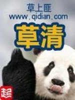 曹清华薏辛除湿胶囊多少钱一盒