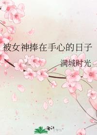 被女神捧在手心的日子txt