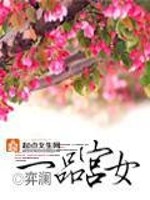 一品宫女好看吗