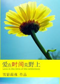 在时间的荒野上番外