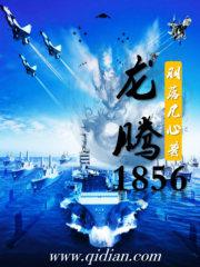 龙腾虎跃下一句接什么