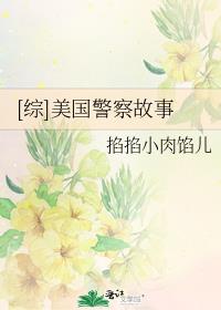 [综]美国警察故事 小说