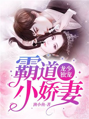 龙少的宠妻