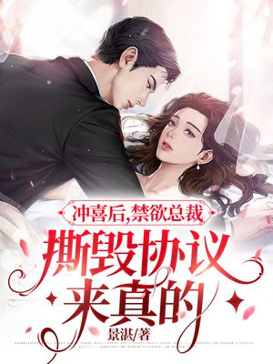 冲喜总裁文