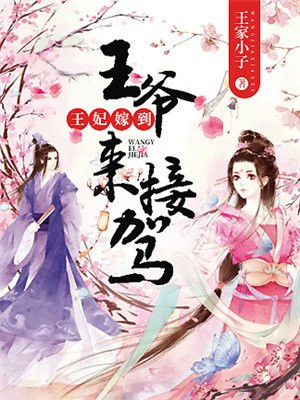 王妃嫁到王爷来接驾小说