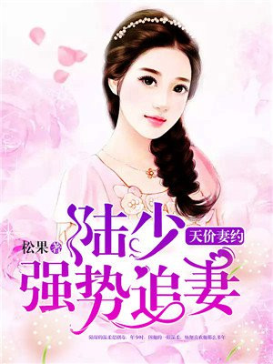 天价契约陆少宠妻无下限
