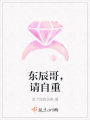 小说作者东辰
