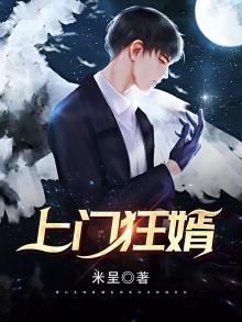 上门狂婿叶枫人物结局