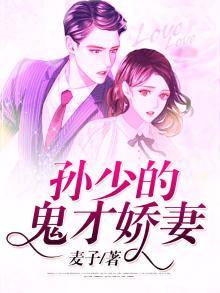 孙少平的小说