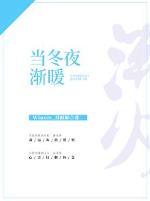 当冬夜渐暖小说TXT