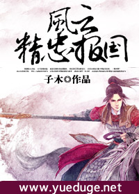 风云:精忠报国 子木