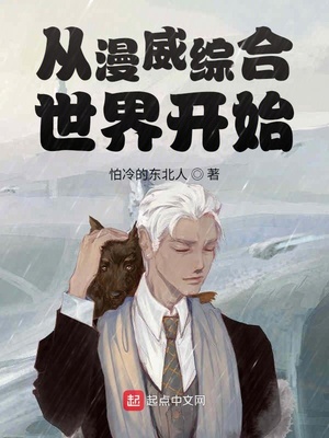 从漫威综合世界开始 小说