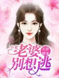 天价婚宠:老婆别想逃在他深情中陨落