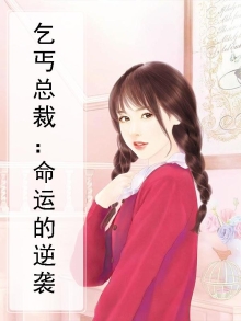 小说 乞丐