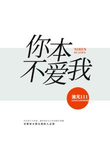 你本来不爱我是什么歌曲