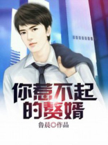你惹不起的赘婿 鲁晨