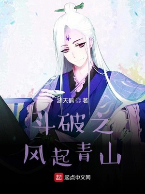 斗破之风起青山TXT
