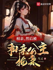公主相亲记小说