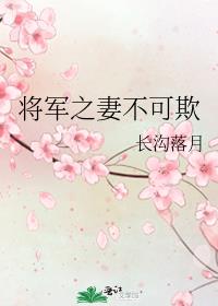 将军之妻不可欺什么意思