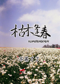 枯木逢春犹再发的下一句是什么