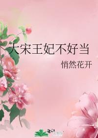 大宋王爷