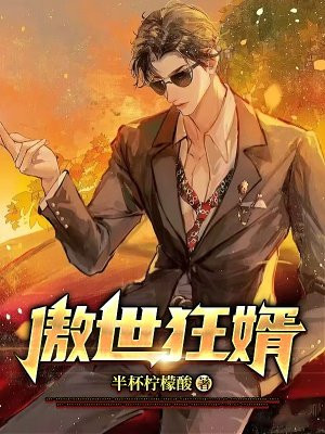 傲世狂婿 半杯柠檬酸