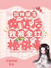 林黛玉加入聊群的小说